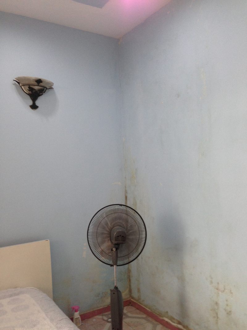 thi-cong-giay-dan-tuong-11-dai-co-viet (8)